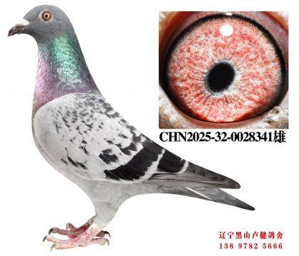 24.总教头金母618直子X津福10名直女