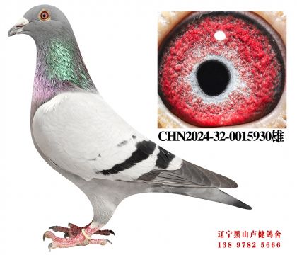 21.总教头直孙X总教头天骄鸽王五名