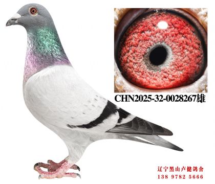 10.总教头奔驰小姐直子X麗枫十名