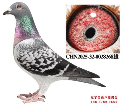 9.总教头奔驰小姐直子X麗枫十名