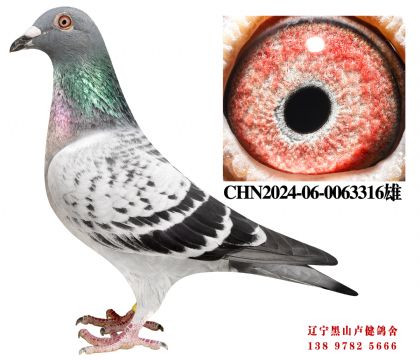 8.总教头直孙X彪行141名