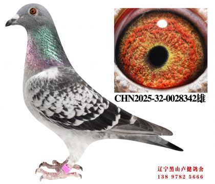 3.总教头金母618直子X津福10名直女