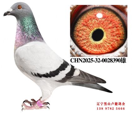 5.总教头58孙X天龙35名