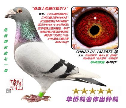 7��-ɣ��ʿ���̺��-1423873-��-��