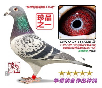 6��--�ձ�����1λ��ѪXղɭ���019ϵ1517336