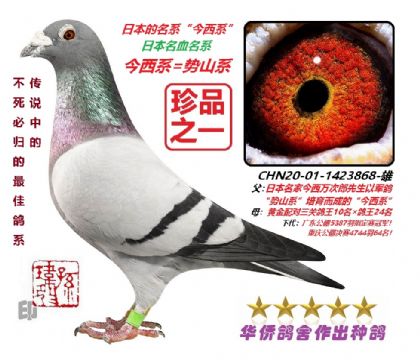 3��--�ձ�����ϵ��������ɽϵ��1423868