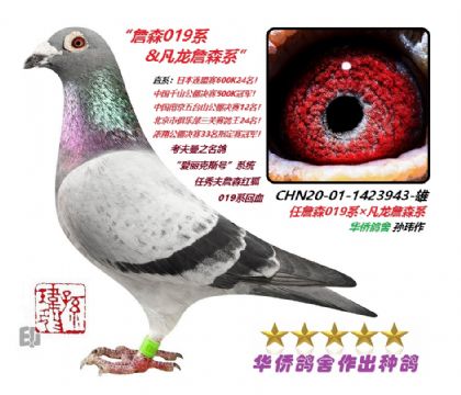 1��--�����ղɭϵ������ղɭϵ1423943