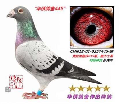 10��--������ղɭ��ɣ��ʿ-0257445��