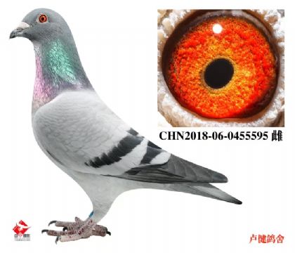 1.总教头58名外孙女.丰羽178名