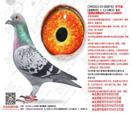 ��չ�����С������ֱŮ���Ĵ˸�����NL15-1130889��