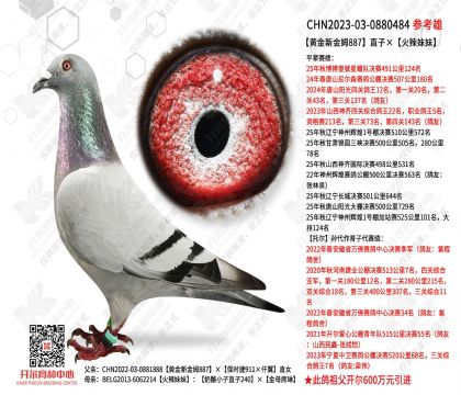 �ƽ��½�ķ887ֱ�ӡ���������