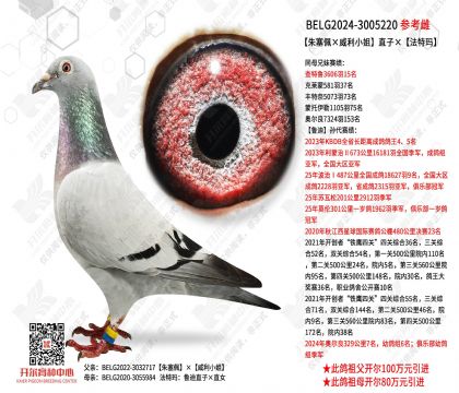 �������������С�㡱ֱ�ӡ�������