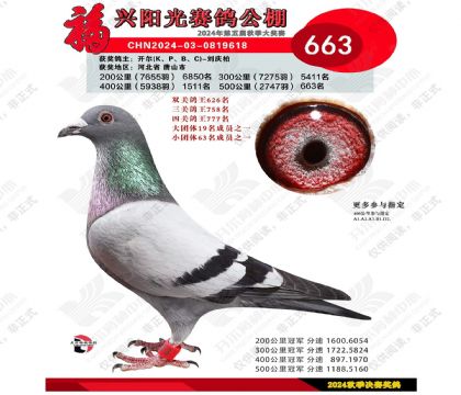 24�������������������663��