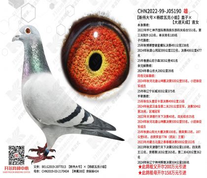 ����ΰ��š���ŷ�߿�С�㡱ֱ�ӡ�������ֱŮ