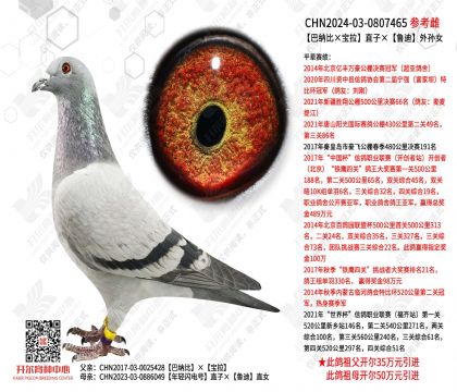 �����ɱȡ�������ֱ�ӡ�³������Ů