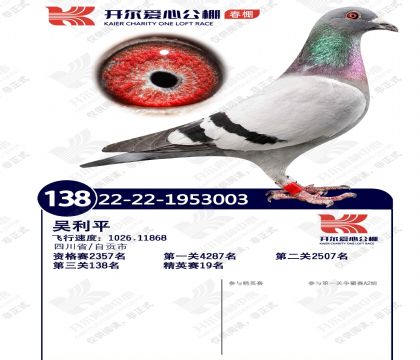 23�꿪���������138��