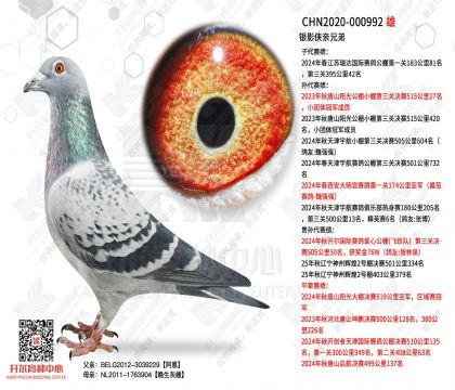 ��Ӱ�����ֵ�