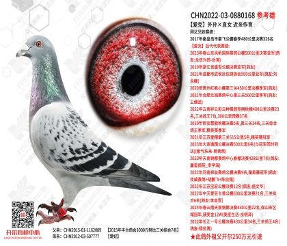 ���������ֱŮ  ��������