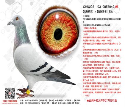 ����ֱ�ӡ�³������ֱŮ