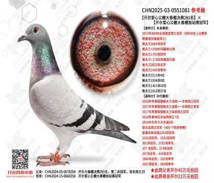 �����������281�������������վ���ھ�