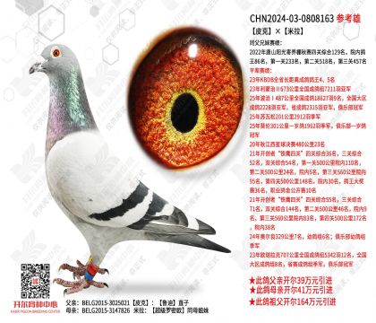 Ƥ�ˡ�����