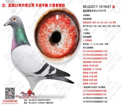 ��ѻ��ض���С��437��