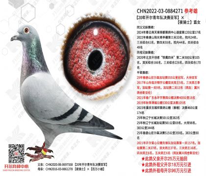 20�꿪������Ӿ����Ǿ���ҹ��ʿֱŮ