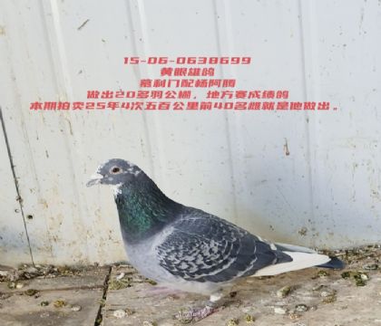 �����Ľ���Ŷ���ɼ��븸��