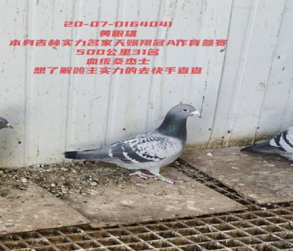 ����������ɣ��ʿ��ٹ���31��