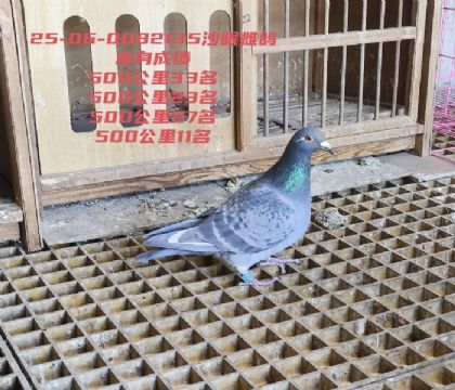 500����11��4�����23��33��27