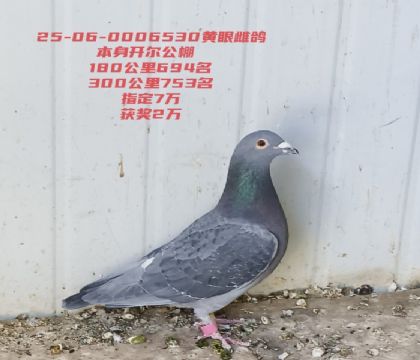 ����180����694���ٹ���753����