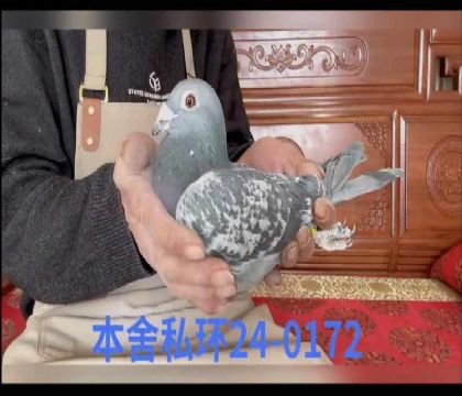 ��ʷ�ٷ���Ů0172