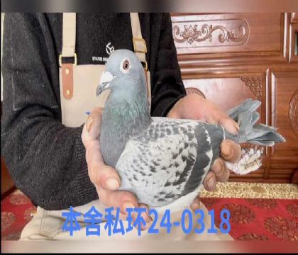 ǳ�ߵϿ������ֱ��Ů0318