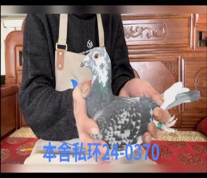 ��ͧ�Ż��ض���0370