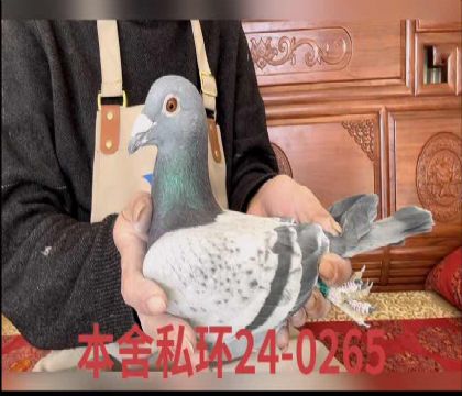 ������0265