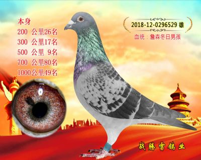 ղɭ�����к�����