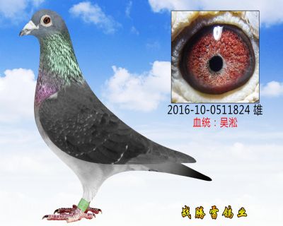 �������� ǧ����17��