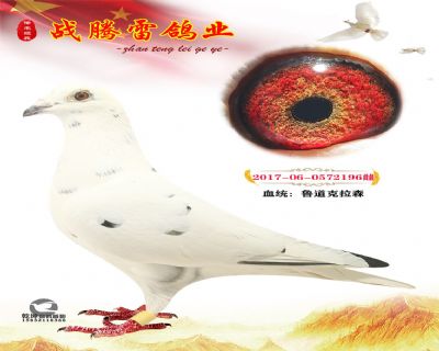 ³������ɭ�ִ�