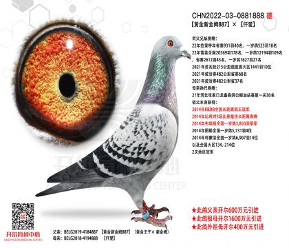 2����-0881888