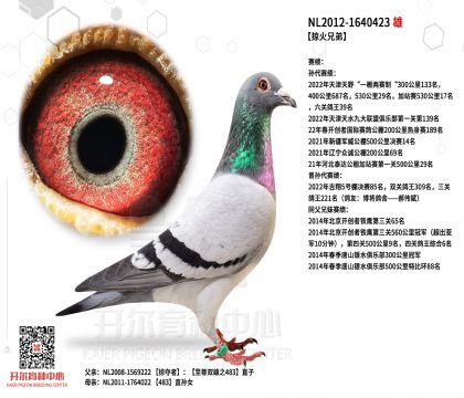 1����-1640423