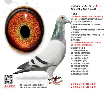 1����-2077013