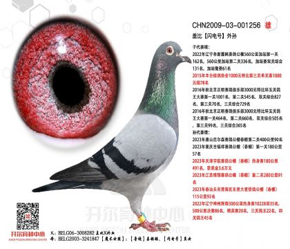 1����-001256