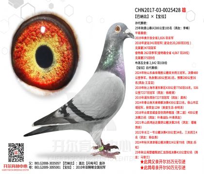 2����-0025428