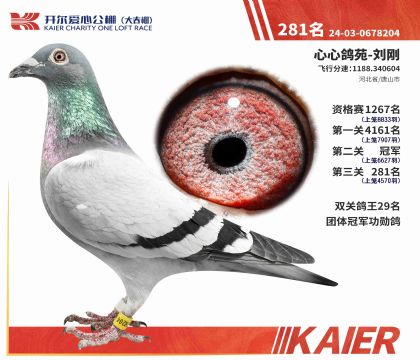 1����-0678204