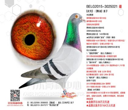 1����-3025021