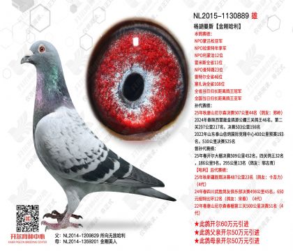 �������͸�1130889