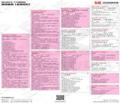 ���͸�NL2015-1130889