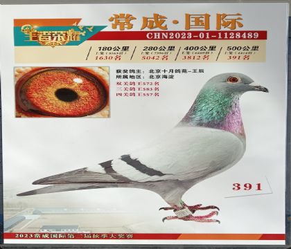 �������ɹ������빫��500�������391��   ��	