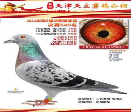 ����������빫����512�������549��  ��	