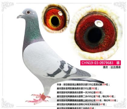 �ȷ��̰�����������ֲ������ۺ�85��  ��	